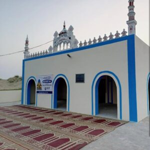 Mosque Development – Build Houses of Allah