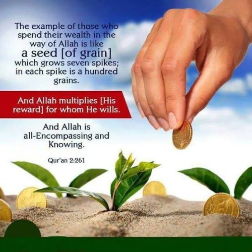 Donate